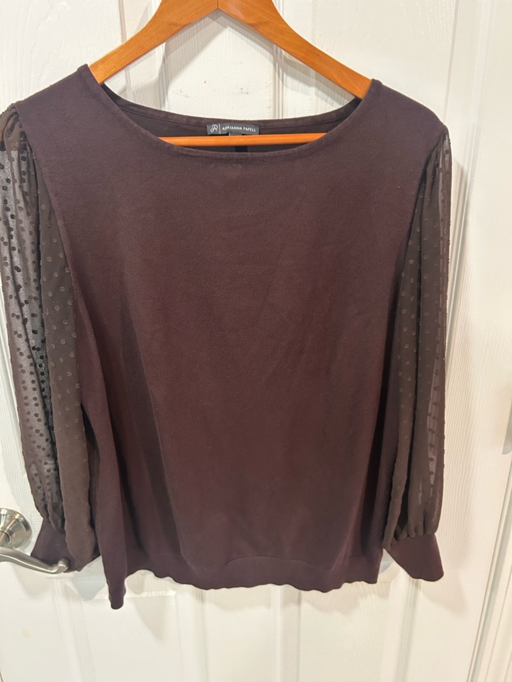 Adrianna Papell Eggplant Sheer Dot-Sleeve Pullover